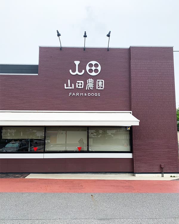 ステンレスの箱文字看板